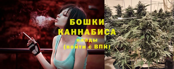 ГАЛЛЮЦИНОГЕННЫЕ ГРИБЫ Алзамай