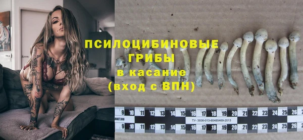 герыч Алексин