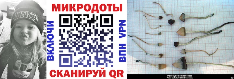 цены наркотик  Нальчик  Псилоцибиновые грибы GOLDEN TEACHER 